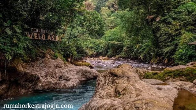Welo Asri Destinasi Wisata Alam dengan Aktivitas Seru